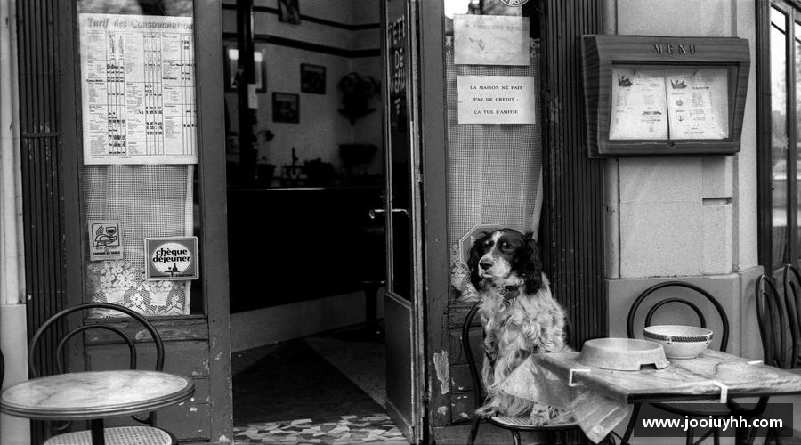 6686足球拼搏拼出精彩，勇敢向前